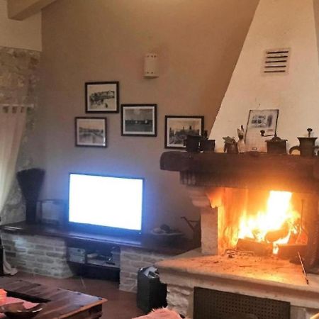 Saison Openning Prices Luxury Villa Nini With Fireplace, Private Pool, Bikes, Barbecue And Much More Poreč Dış mekan fotoğraf